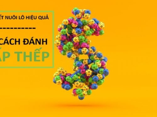 Chia sẻ kinh nghiệm nuôi lô gấp thếp lãi siêu to khổng lồ