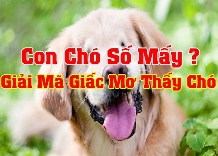 Cách giải mã và tịch số đề từ 00 đến 99 con chó Cách giải mã và tịch số đề từ 00 đến 99 con chó