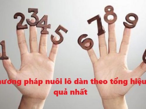 Cách bắt tổng đặc biệt chính xác nhất năm nay 2025
