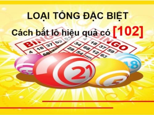 Loại tổng đặc biệt hôm nay – Cách bắt lô hiệu quả có [102]